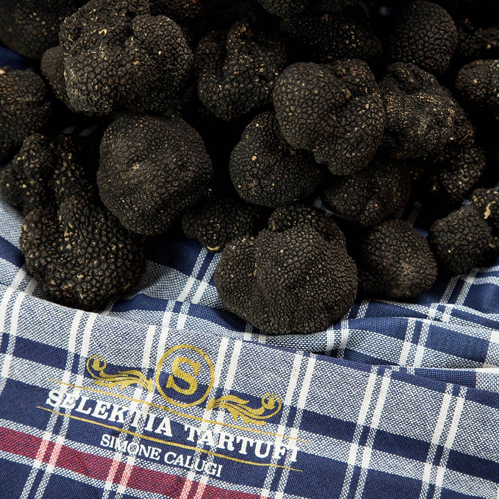 Selektia Tartufi - Tartufo Estivo (Tuber Aestivum Vitt.): 250 g